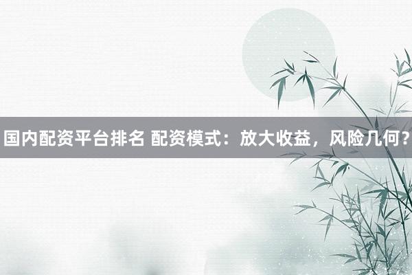 国内配资平台排名 配资模式：放大收益，风险几何？