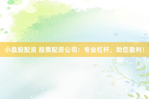 小盘股配资 股票配资公司：专业杠杆，助您盈利！