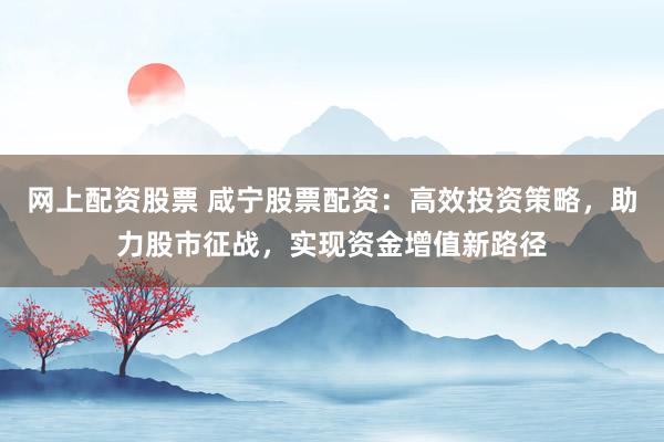 网上配资股票 咸宁股票配资：高效投资策略，助力股市征战，实现资金增值新路径