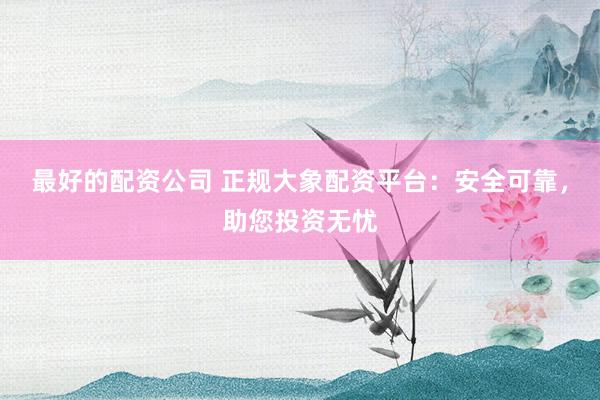 最好的配资公司 正规大象配资平台：安全可靠，助您投资无忧