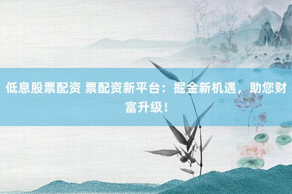 低息股票配资 票配资新平台：掘金新机遇，助您财富升级！