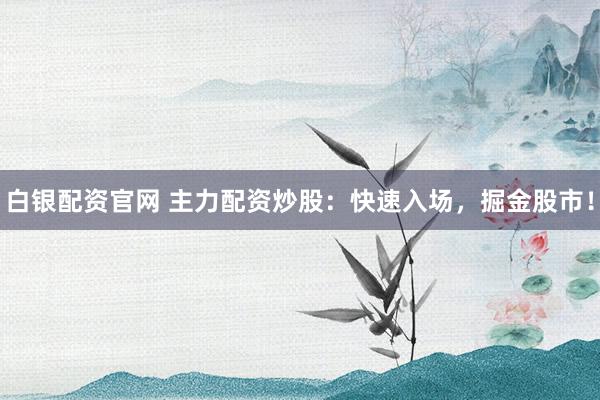 白银配资官网 主力配资炒股：快速入场，掘金股市！
