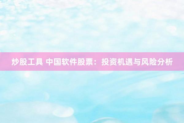 炒股工具 中国软件股票：投资机遇与风险分析